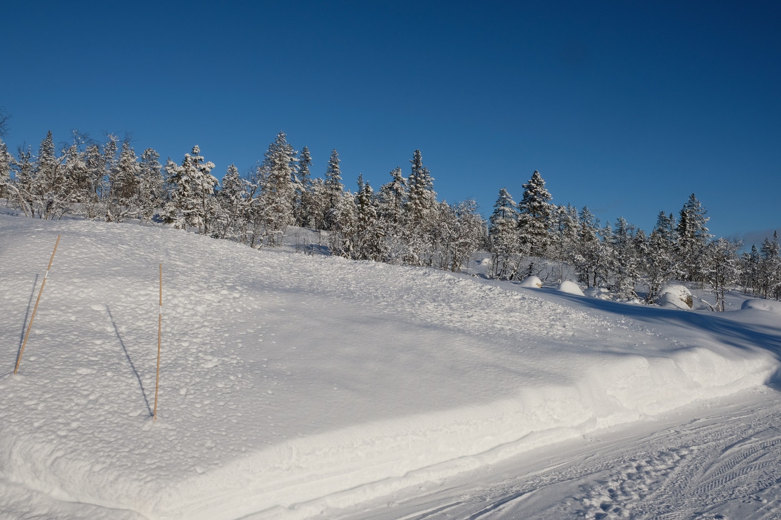 Bilde av tomten sett fra enden av veg Galleribilde
