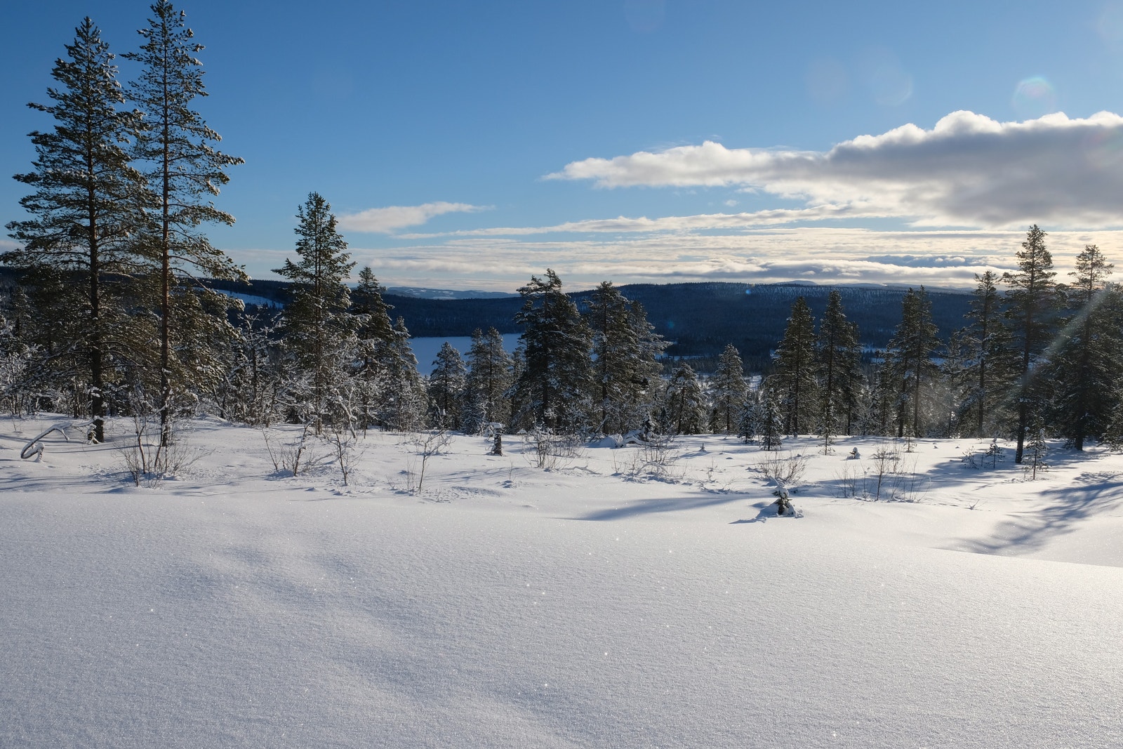 Utsikt i sør-østlig retning fra punkt ett par meter nedenfor eiendomsgrensen. Galleribilde