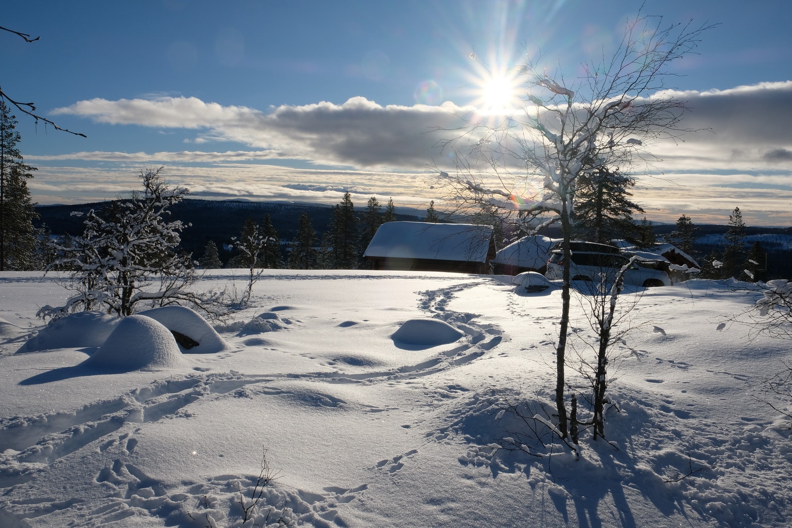 Utsikt i sørlig retning fra tomt Galleribilde