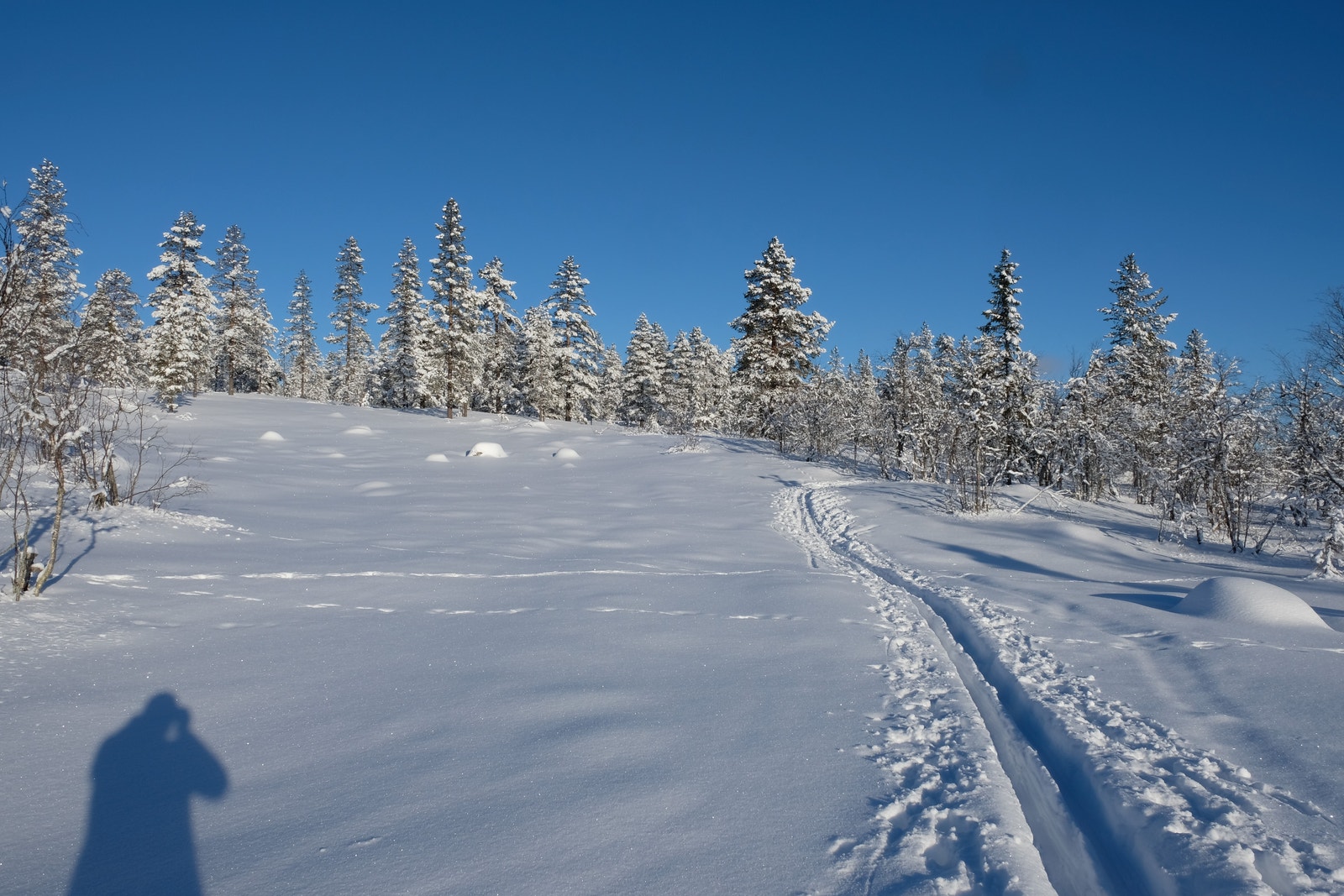 Bilde av deler av tomt og terreng øst for tomten Galleribilde