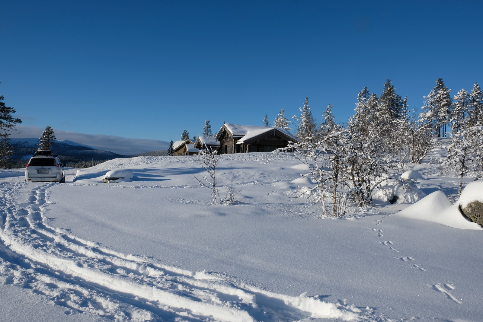 Bilde av nederste delen av tomt i retning nabo vest for tomta Galleribilde