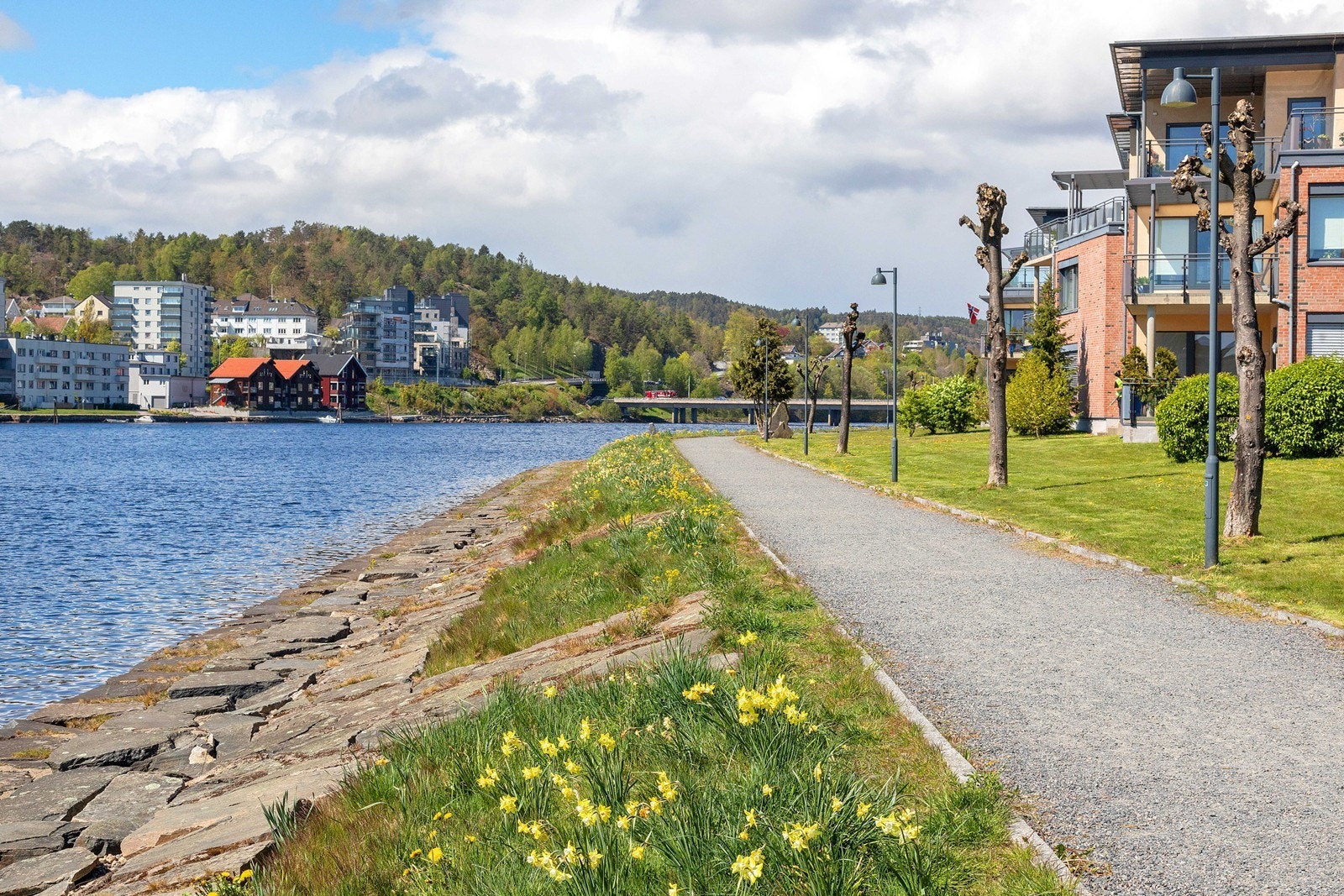 Nærområde Galleribilde