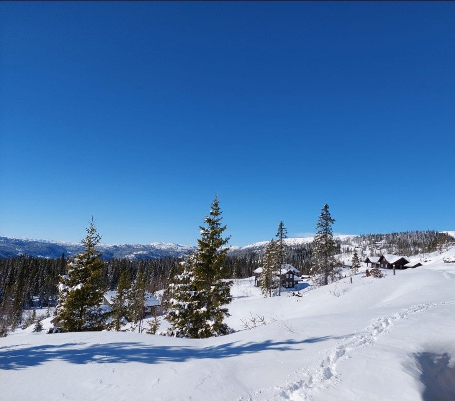 Mot vest Galleribilde