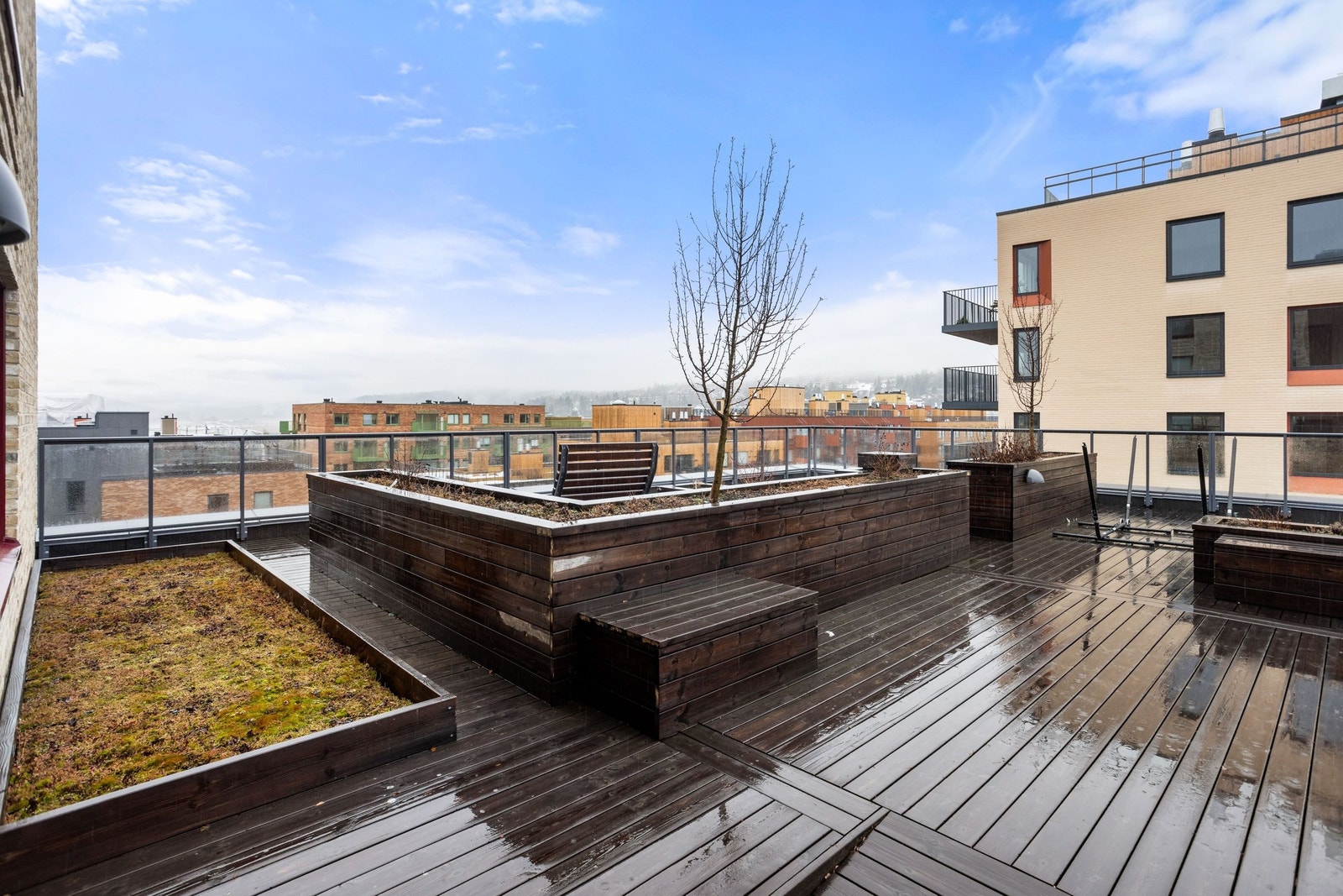 Felles takterrasse. Galleribilde