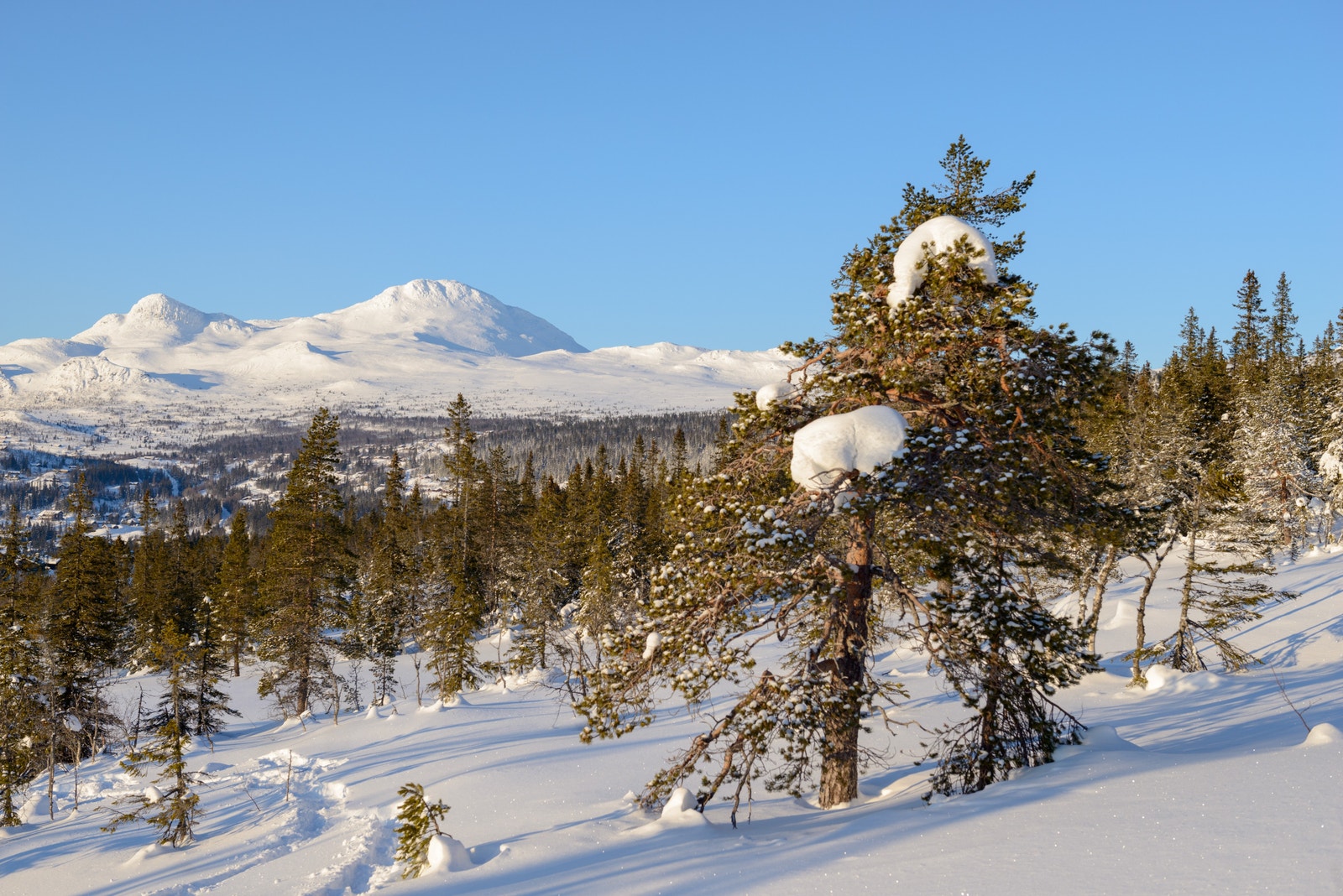 Utsikt fra tomt R4 Galleribilde