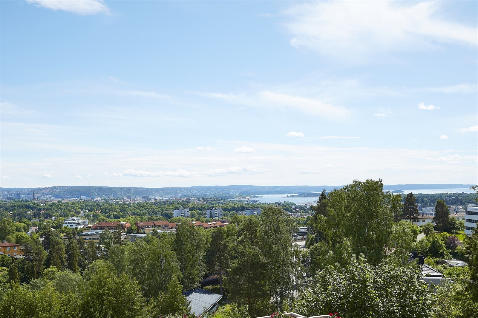 Sjekk utsikten! Galleribilde