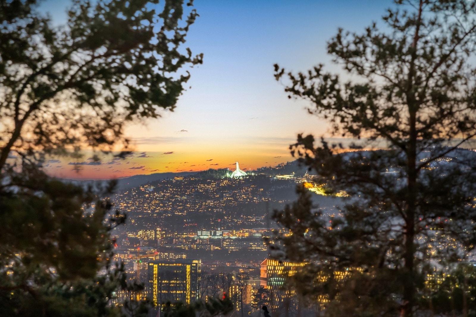 Mellom trærne kan man skimte Holmenkollbakken i det fjerne Galleribilde