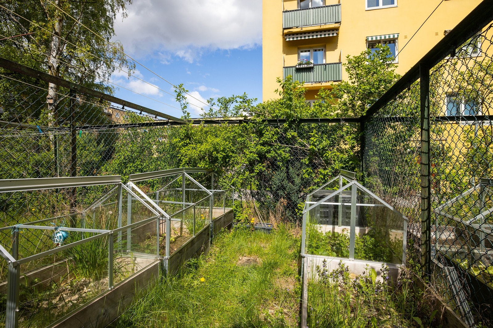 Pent er opparbeidet med grøntarealer, beplantning, sittegrupper. Det er også felles drivhus i bakgården med plantekasser til disposisjon Galleribilde