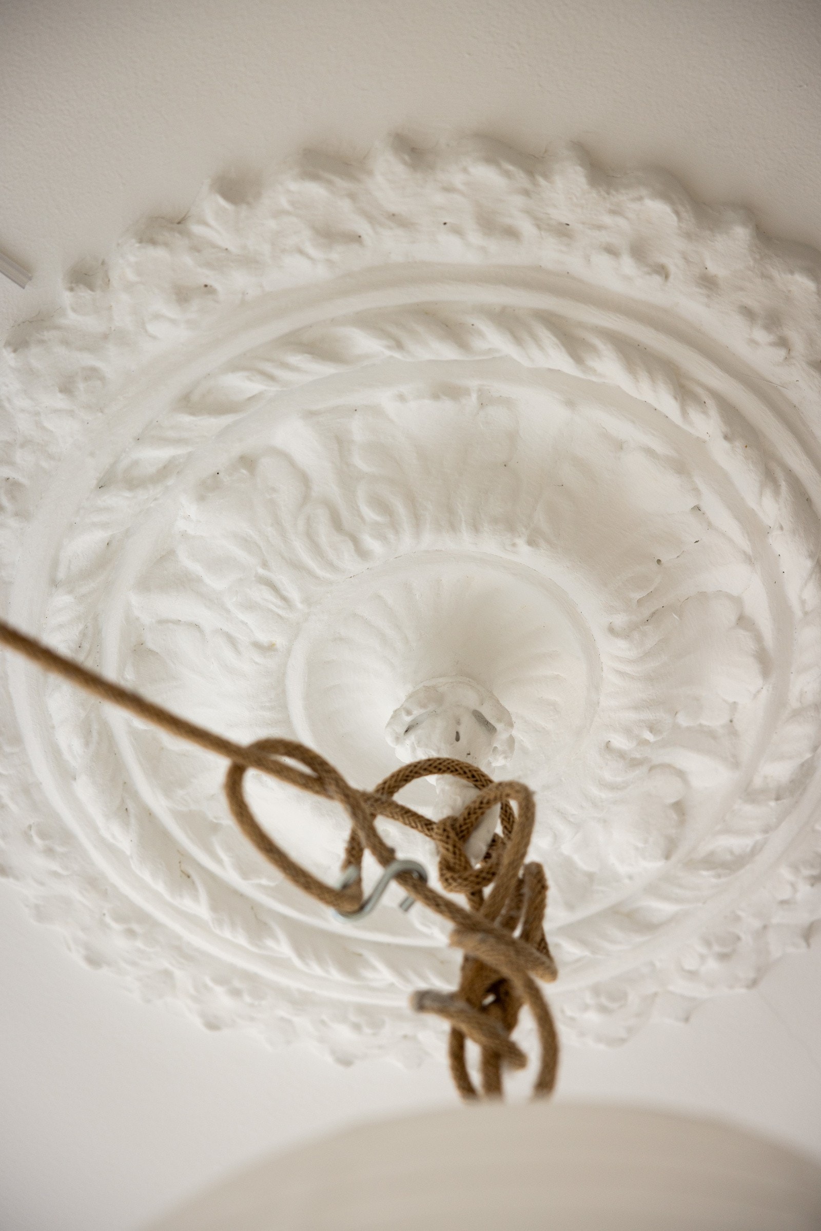 Vakker rosett og stukkatur i himling. Galleribilde