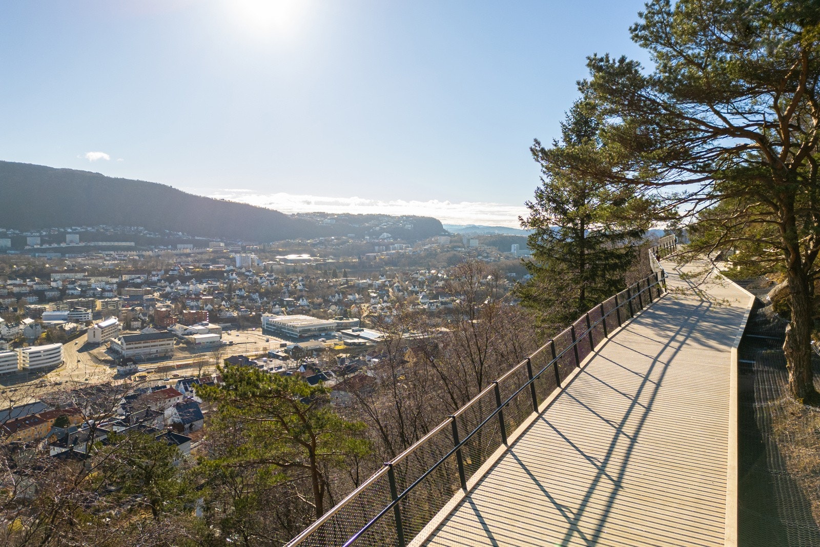 Nye Løvstien Galleribilde