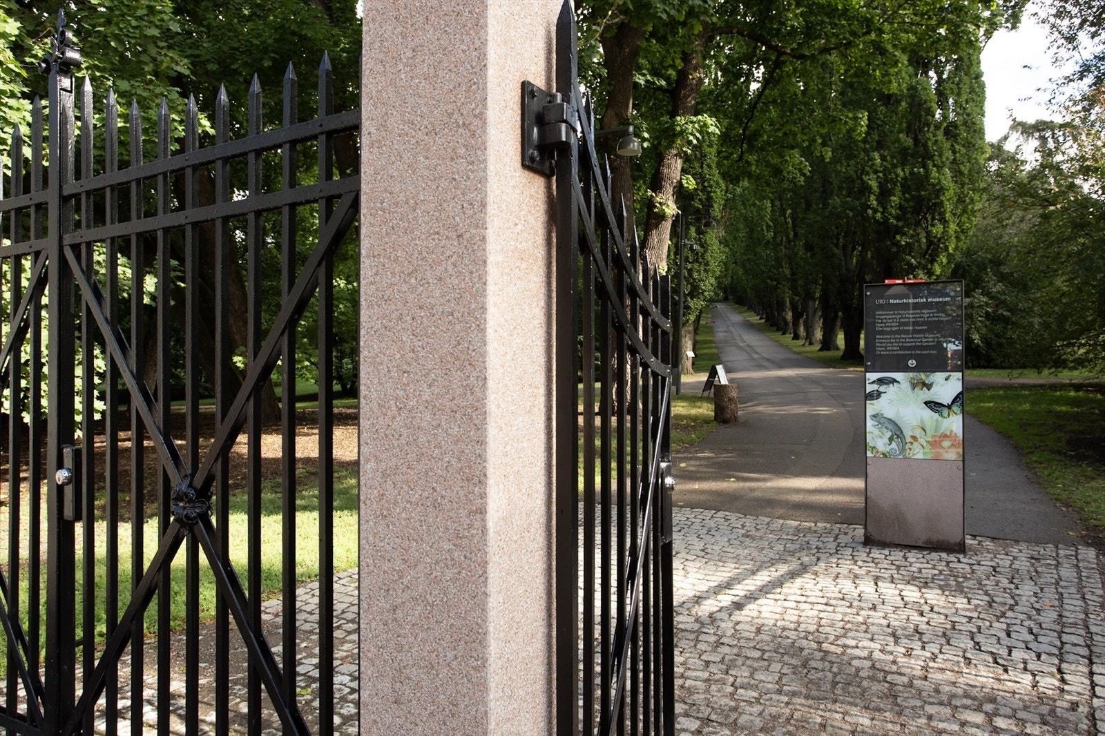 Det er også kort vei til Botanisk hage med en hyggelig kafé, samt Zoologisk og Geologisk museum. Galleribilde
