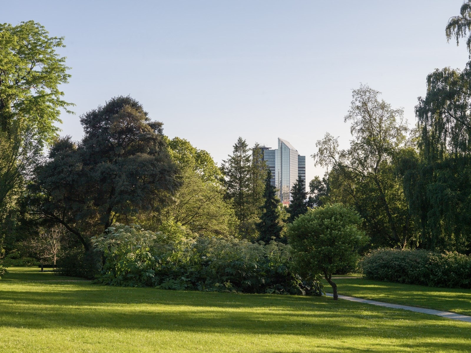 En rekke festivaler holdes i flere av de nærliggende parkene som Piknik i Parken, Øya Festivalen, Løkka-Lykke gatekunstfestival m.m. Galleribilde