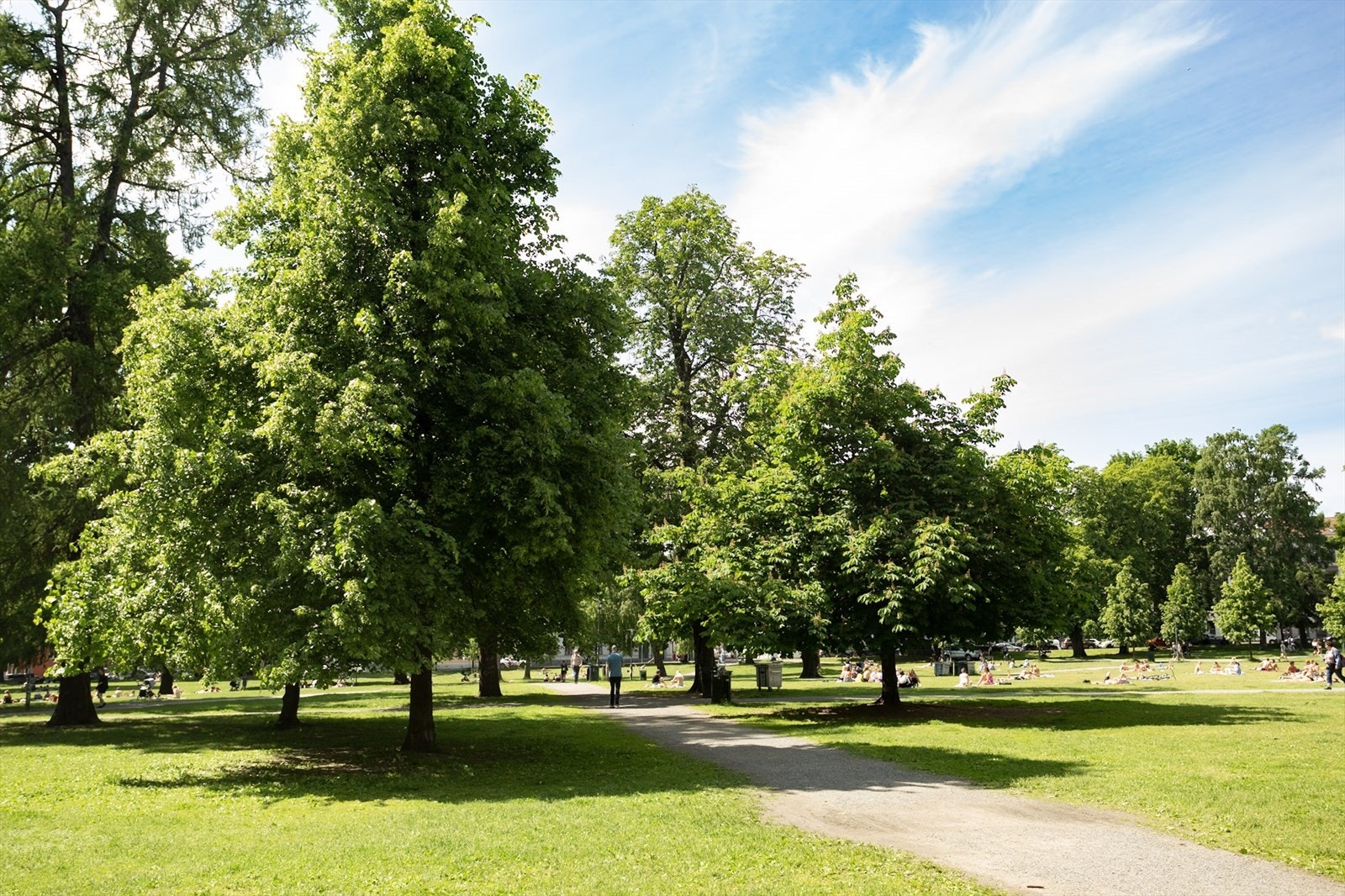 Området tilbyr flotte park- og grøntområder med kort gange til Akerselva, Sofienbergparken, Birkelunden, Olaf Ryes plass og Kubaparken, som byr på et yrende folkeliv, arrangementer og konserter om sommeren. Galleribilde