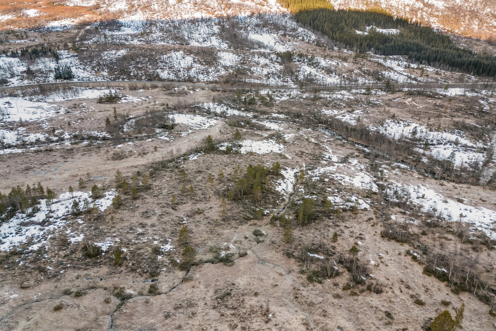 30/37 på Ørskogfjellet. Totalt 16,8 mål regulert til LNFR Galleribilde