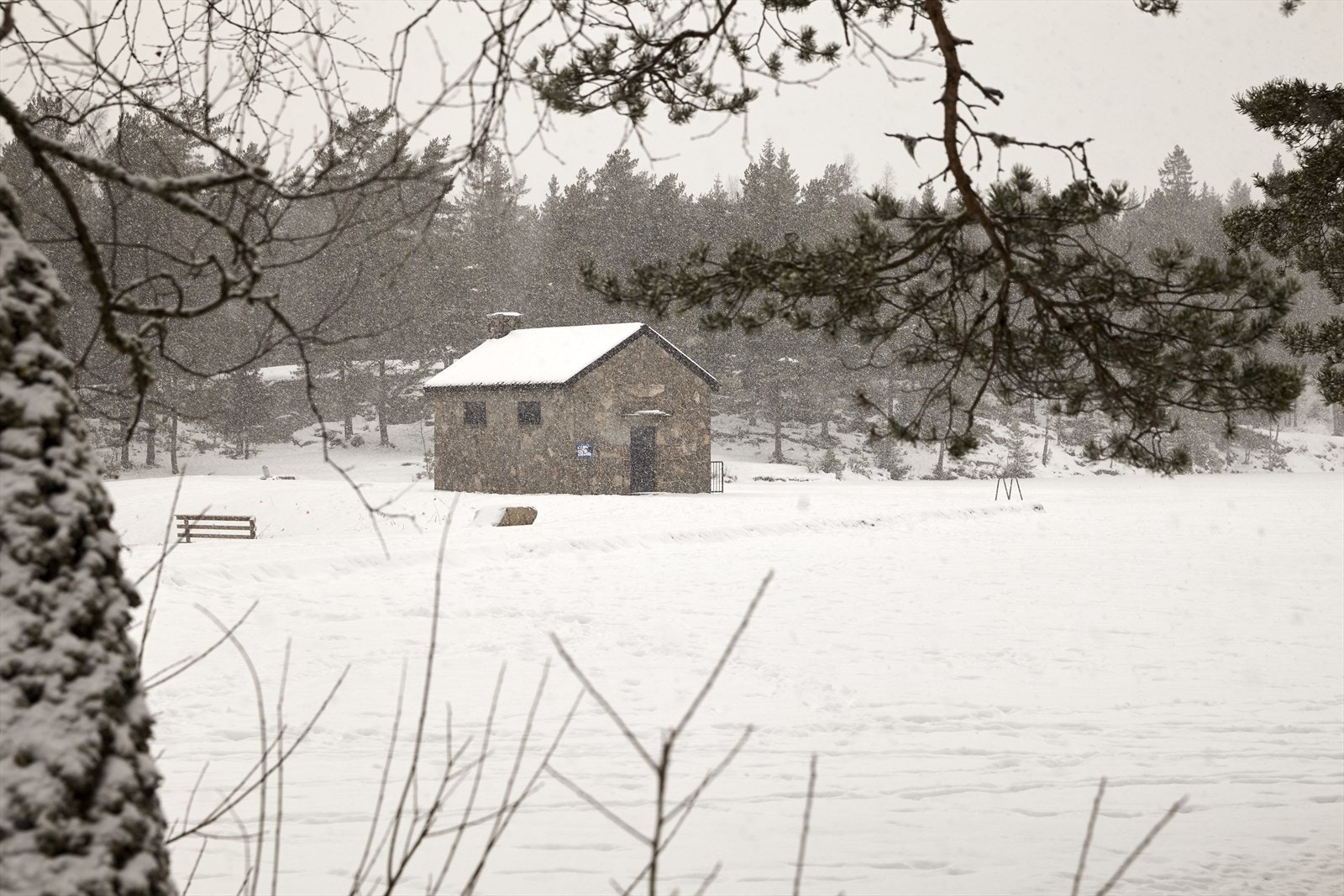 Lillomarka ligger ikke langt unna. Her er et flotte turmuligheter sommer som vinter. Galleribilde