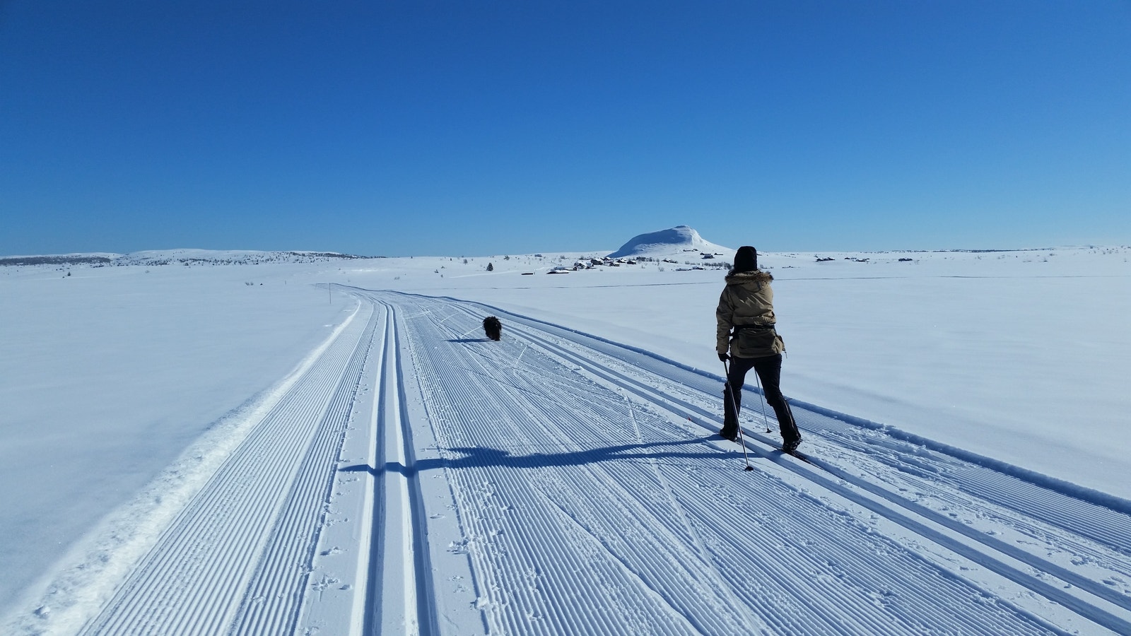 Det er milevis med fantastiske skiløyper på Vaset, både i skogs- og høyfjellsterreng. Alt etter vær og eget ønske. Løypene starter utenfor hytteveggen. Galleribilde