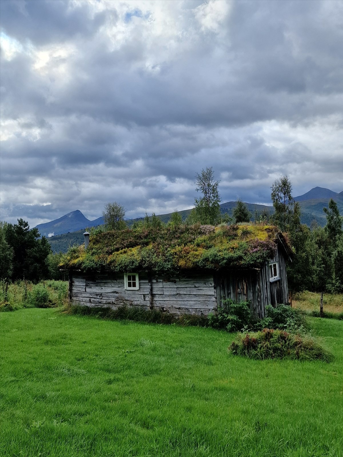 Ringstadsætra Galleribilde