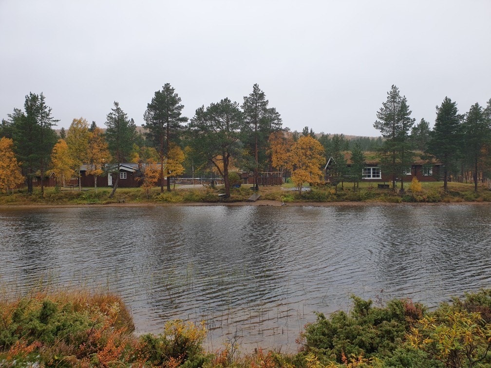 (Bilde fra selger) Galleribilde