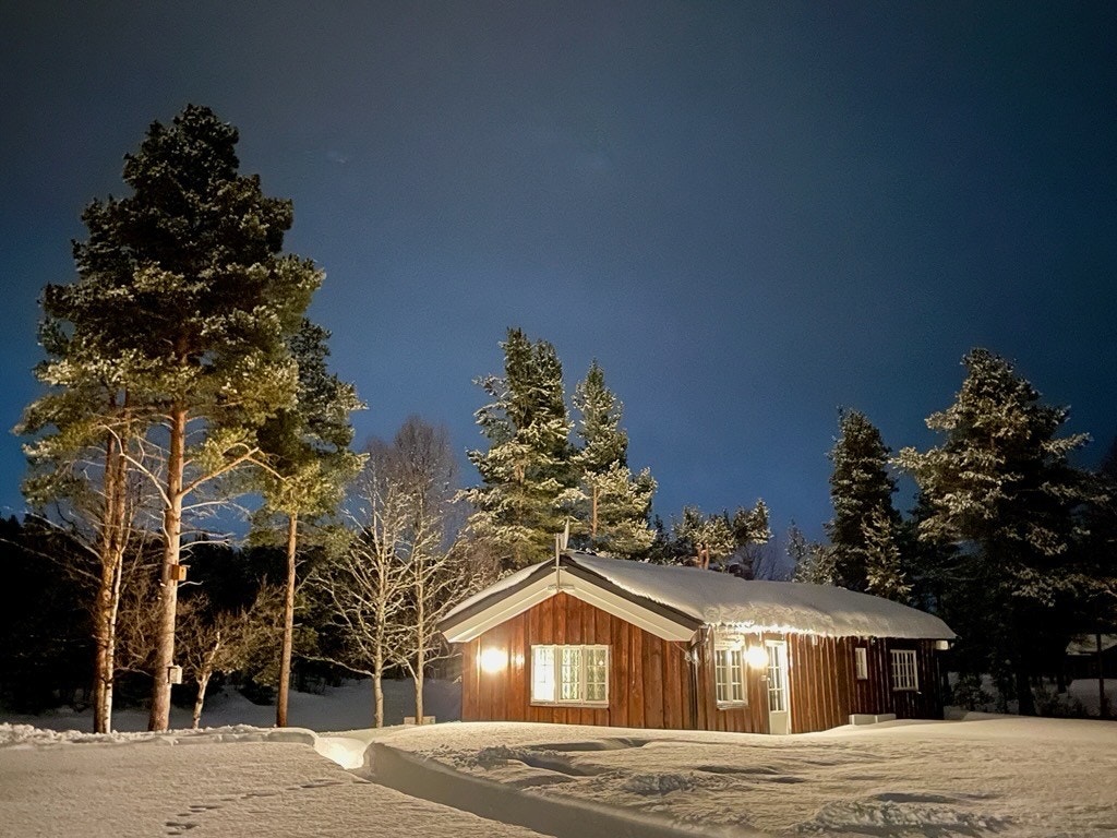 (Bilde fra selger) Galleribilde