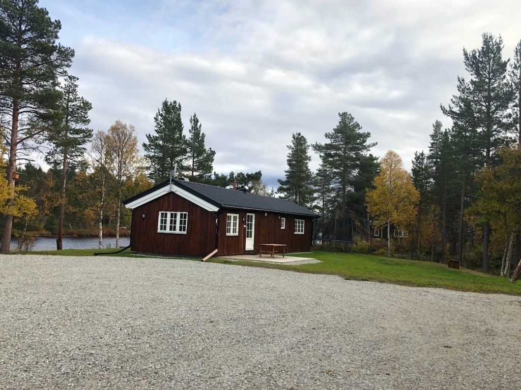 (Bilde fra selger) Galleribilde