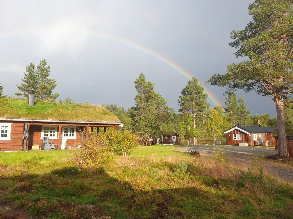 (Bilde fra selger) Galleribilde