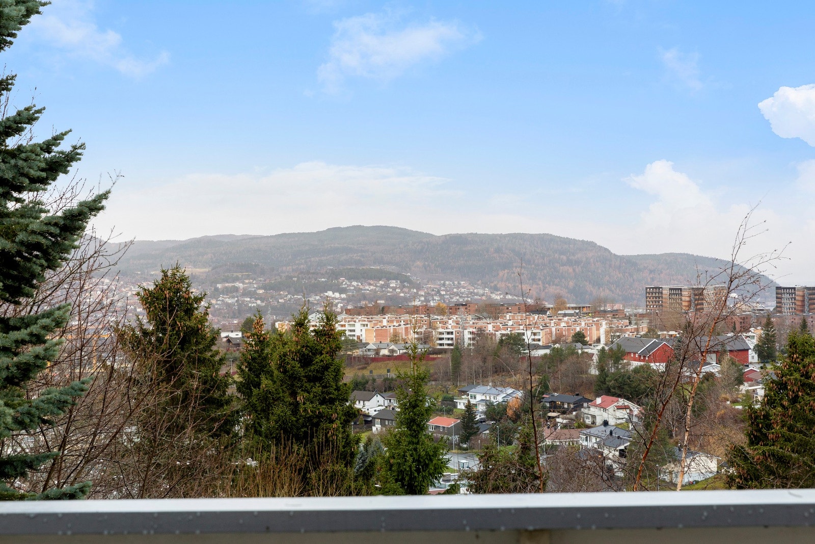 Utsikt. Galleribilde