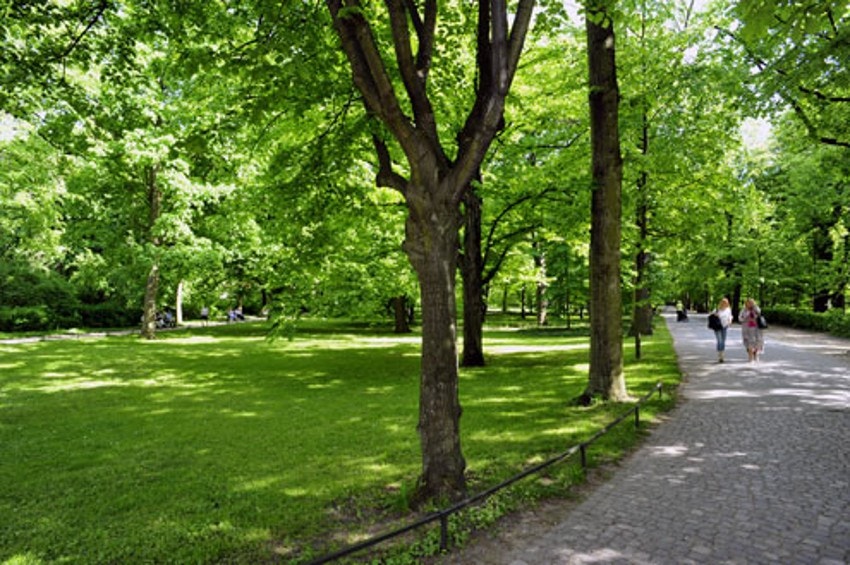Bydelen kan by på flere fantastiske grøntområder som Akerselva Miljøpark, Myraløkka, Gråbeinsletta, Torshovparken, Bjølsenparken og Voldsløkka. Galleribilde