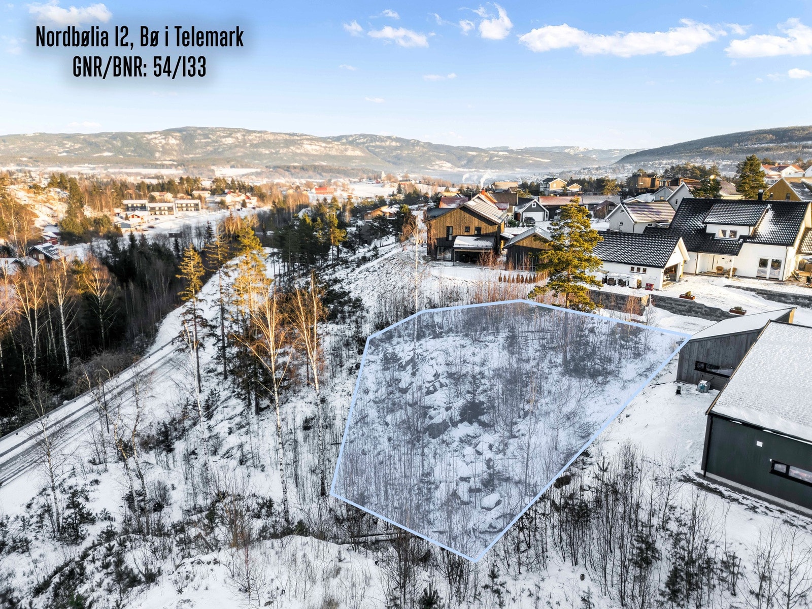 Frida Henriksveen presenterer Nordbølia 12! Galleribilde