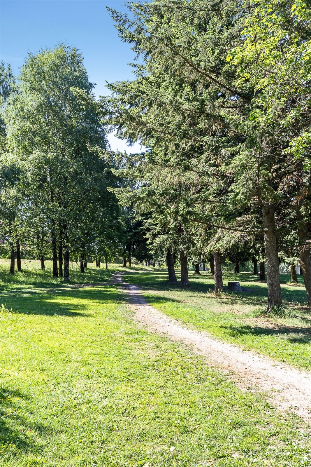 Ønsker du en lengre tur er det koselige stier langs Akerselva fra byen og opp til Maridalen. Galleribilde