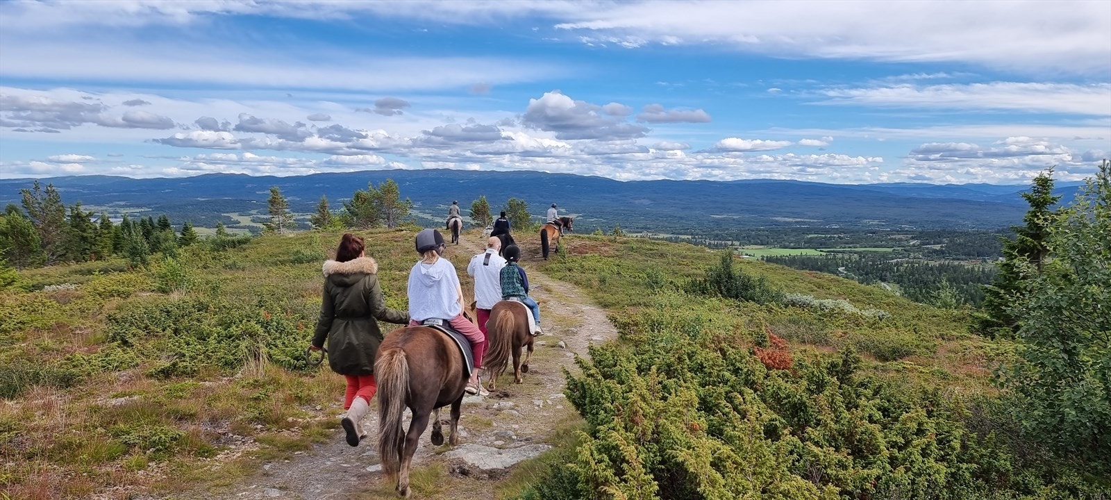 Nydelig fjellterreng Galleribilde