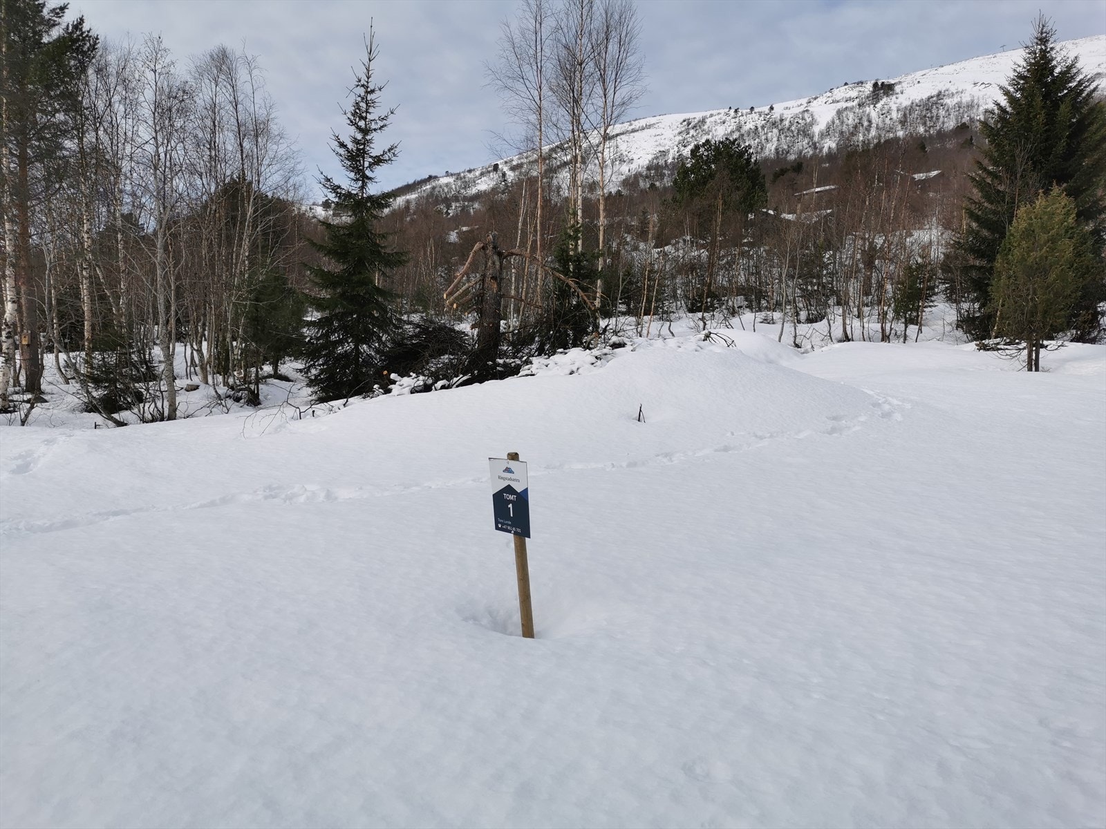 Bilder tatt av tomta fra veien Galleribilde