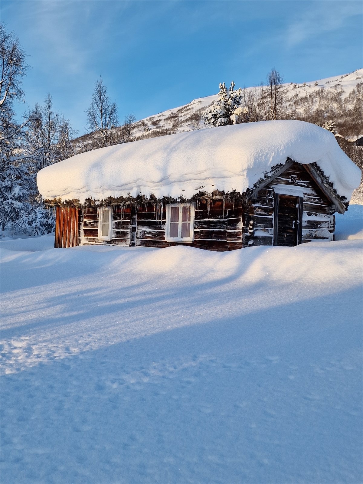 Ringstadsætra Galleribilde
