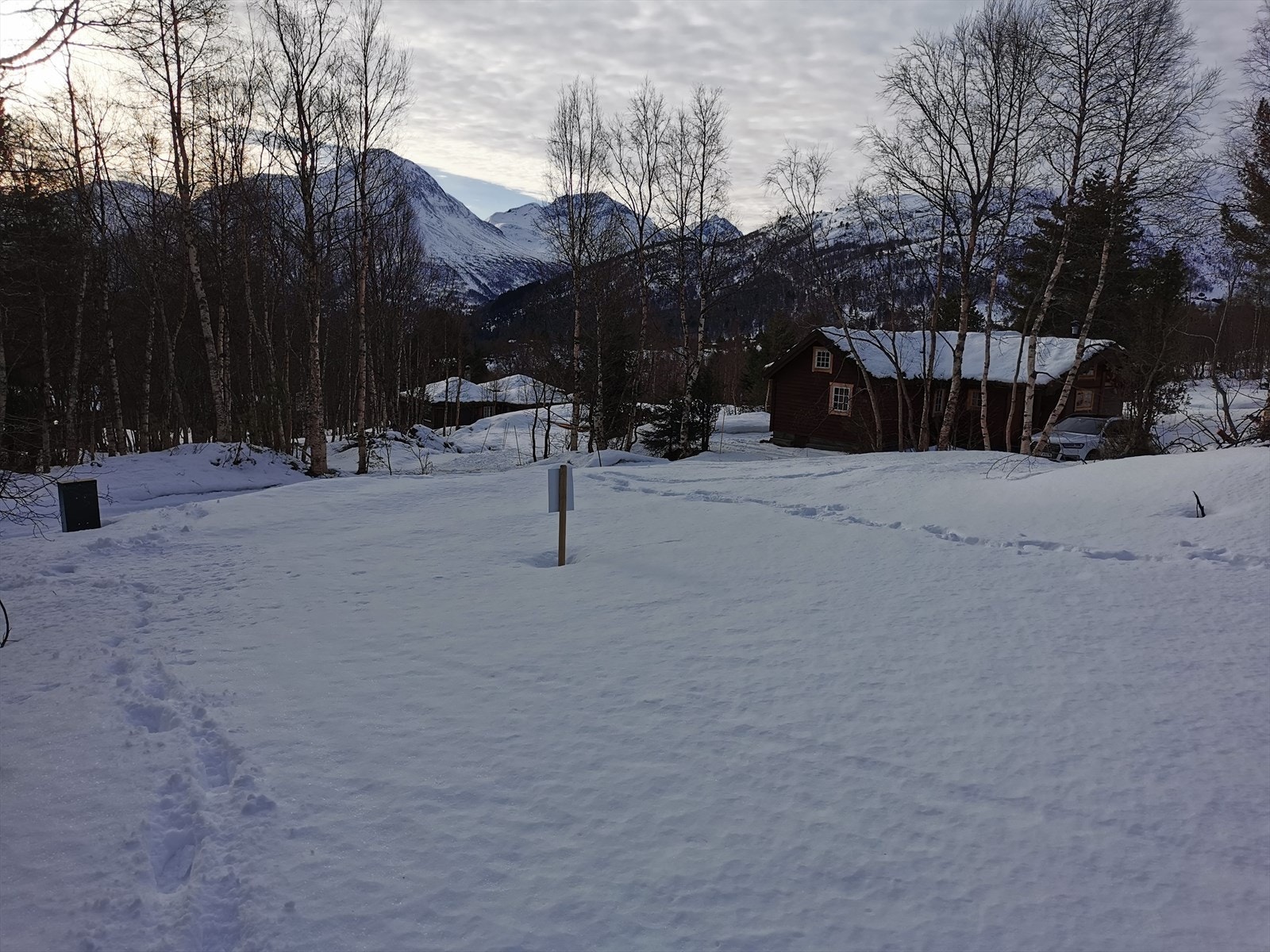 Bilder tatt på tomta Galleribilde