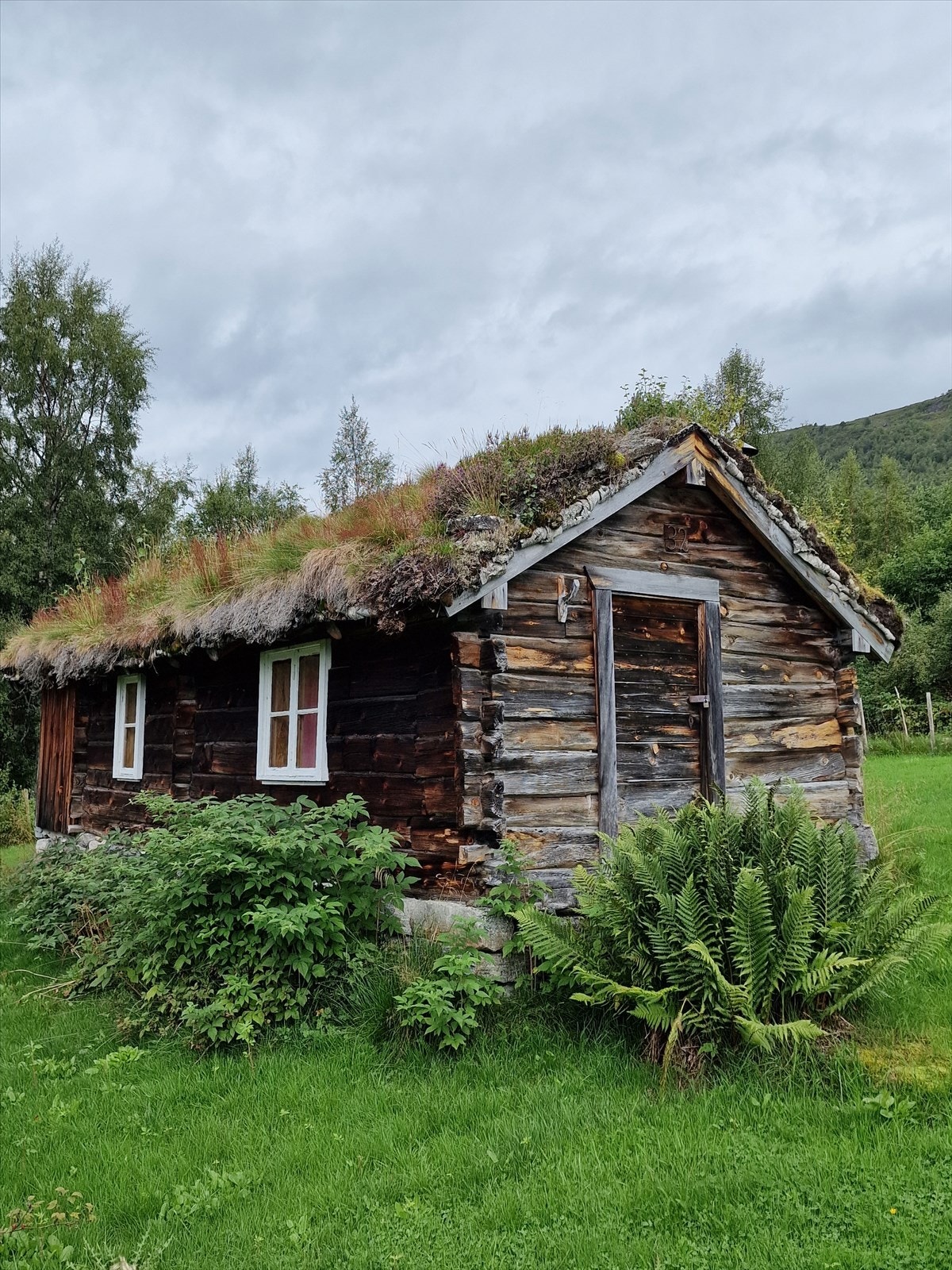 Ringstadsætra Galleribilde