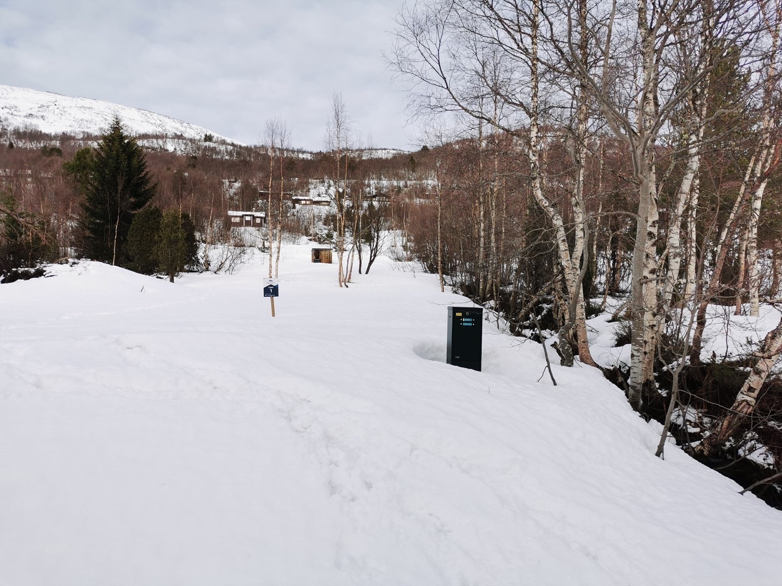 Bilder tatt av tomta fra veien Galleribilde