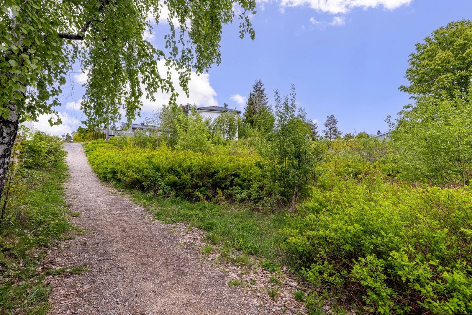 Mot nord Galleribilde