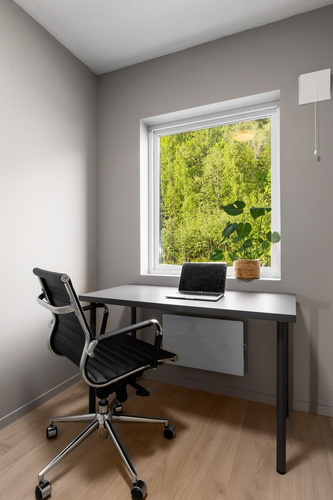 Utsikt mot skogen fra kontorplassen! Galleribilde