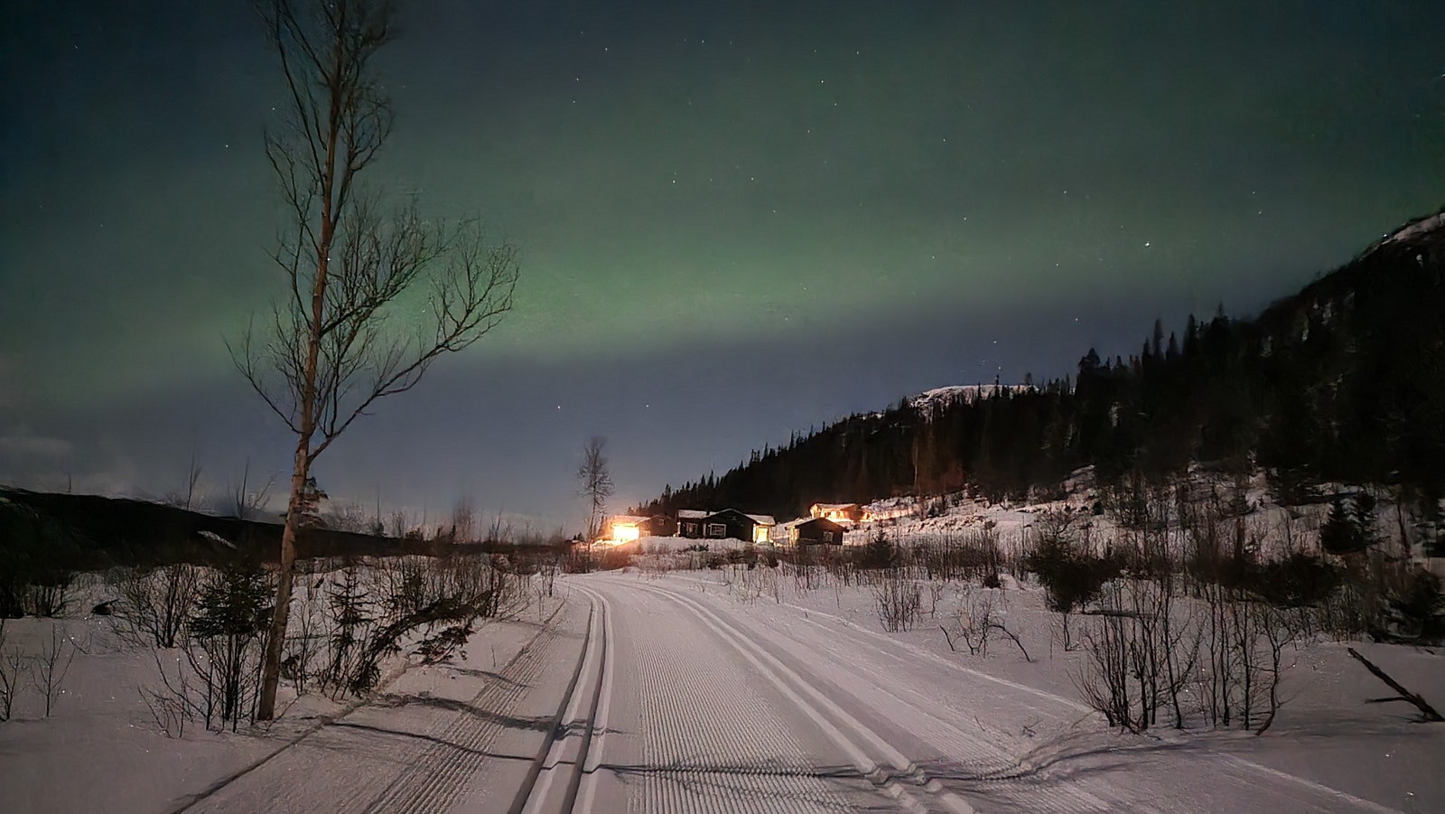 Nordlys i Solheim Hyttegrend. Galleribilde