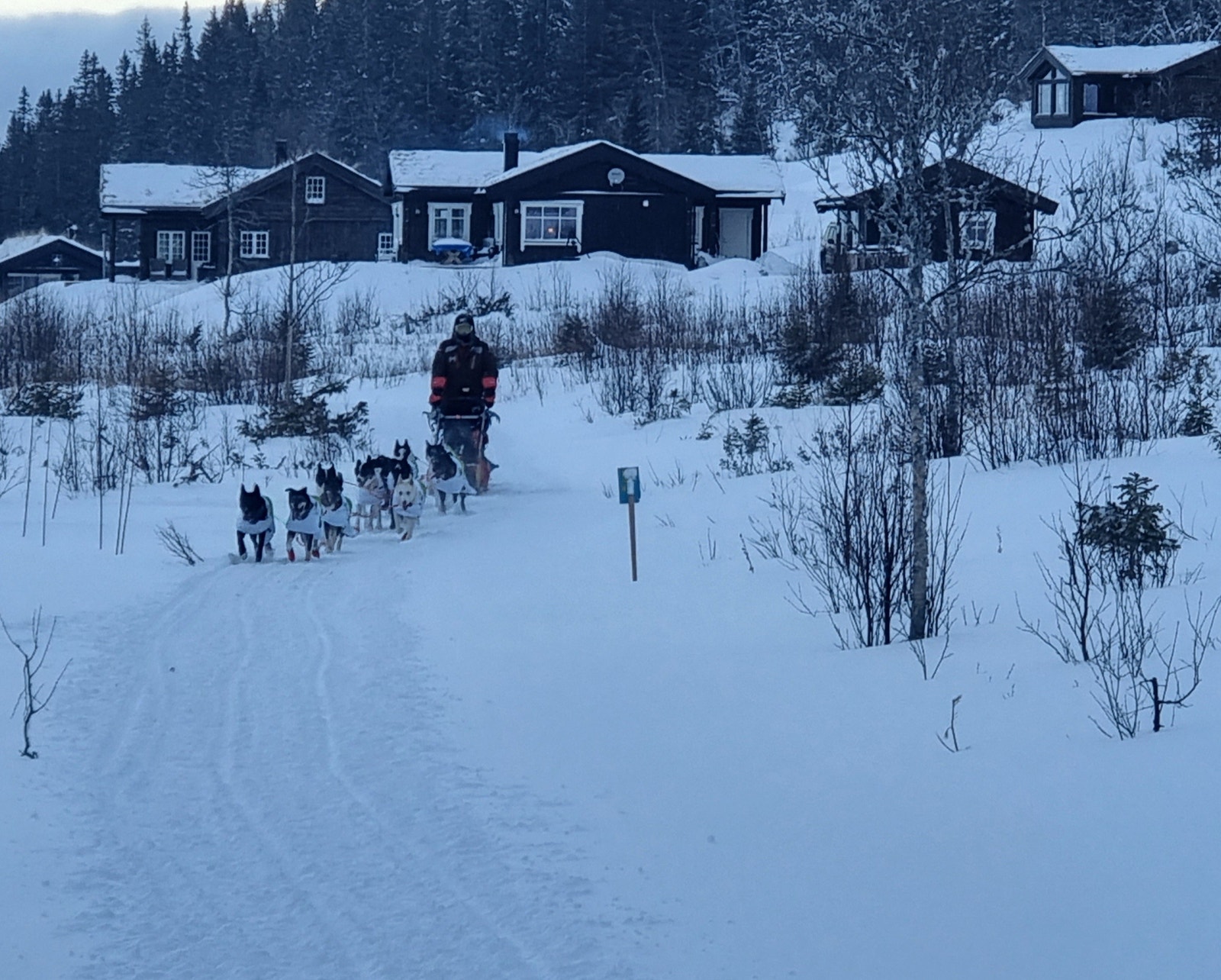 Femundsløpet passerer midt i Hyttefeltet. Galleribilde