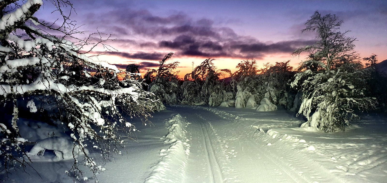Morgen stemning i skiløypa. Galleribilde