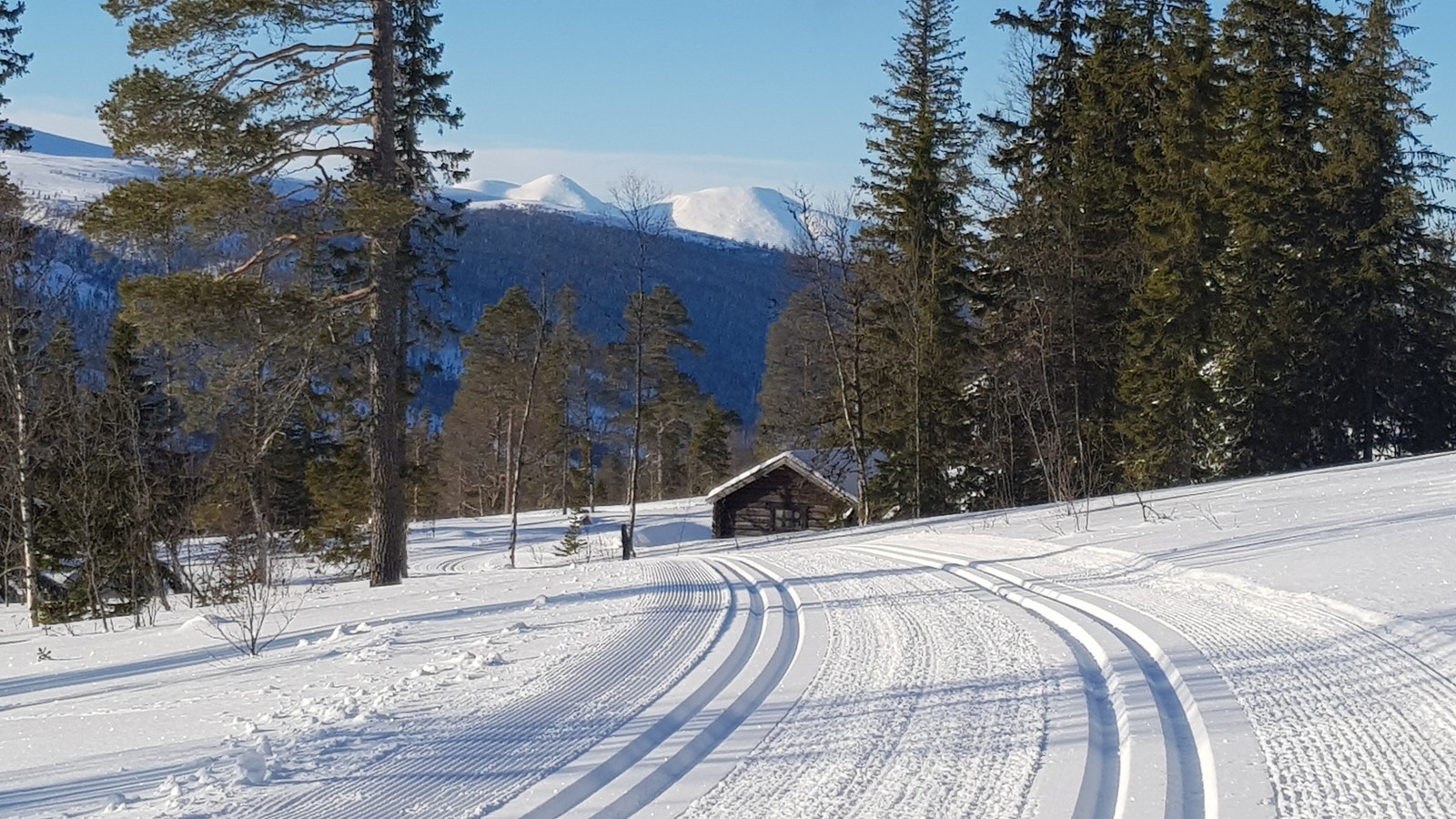 Skiløpa gjennom Solheim Hyttegrend passerer forbi Bjønnbu. Galleribilde