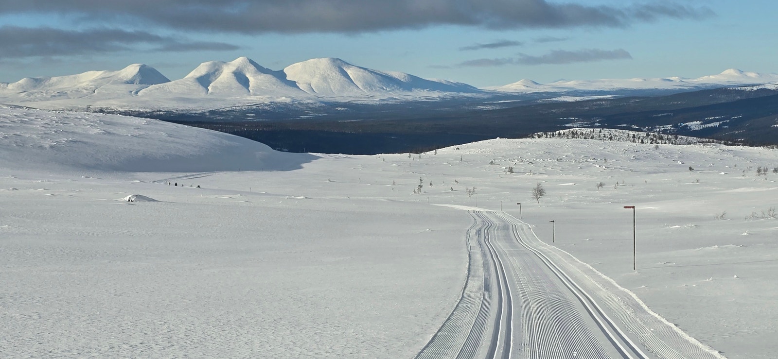 Fra løypenettet mot Sølen fjellet. Galleribilde