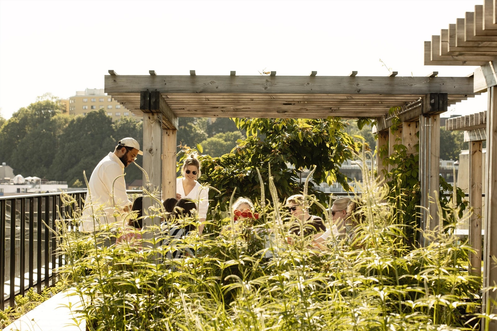 Takterrassen. Galleribilde