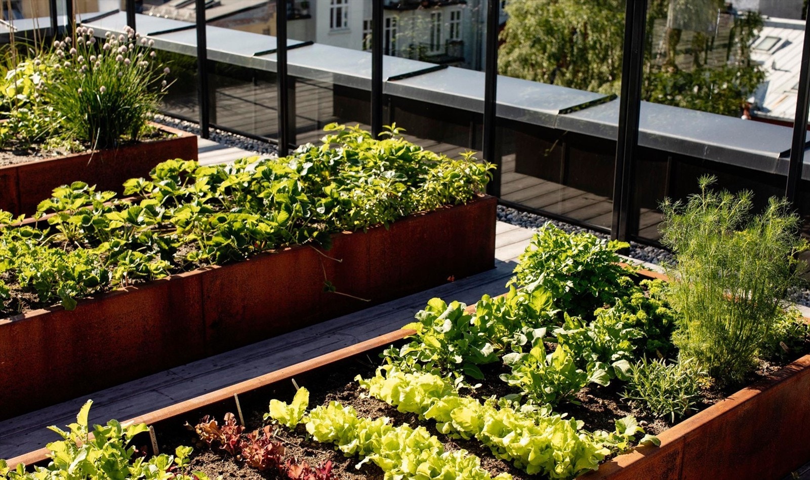 For beboere med grønne fingre har man anlagt 4 plantekasser hvor man kan dyrke egne urter og grønnsaker. Galleribilde