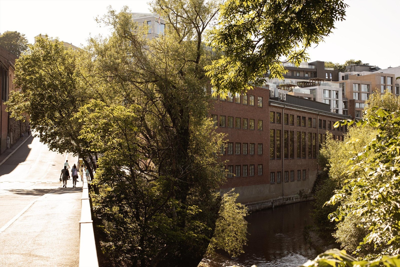 Områdebilde. Galleribilde