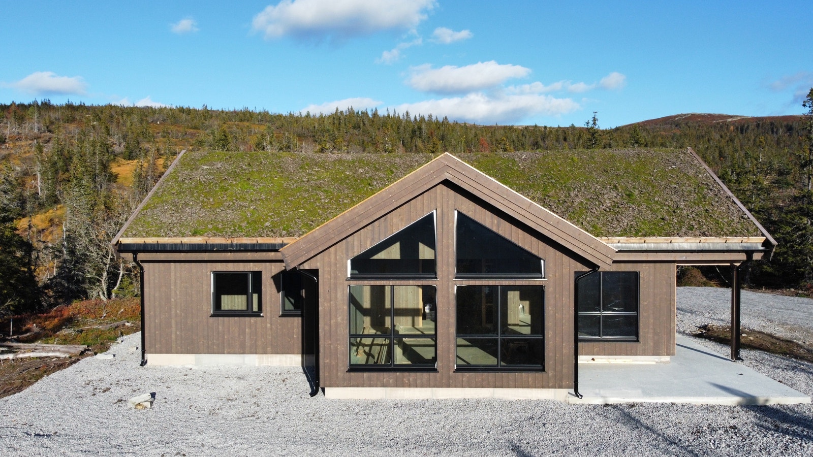 Sommerbilde fra hytta Galleribilde