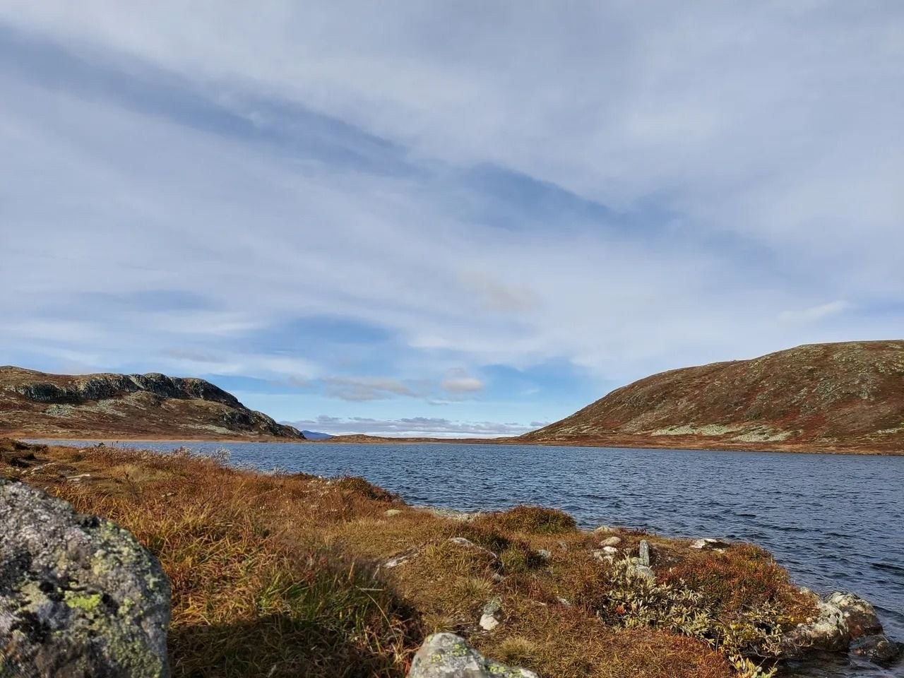Fine turområder sommer og vinter Galleribilde