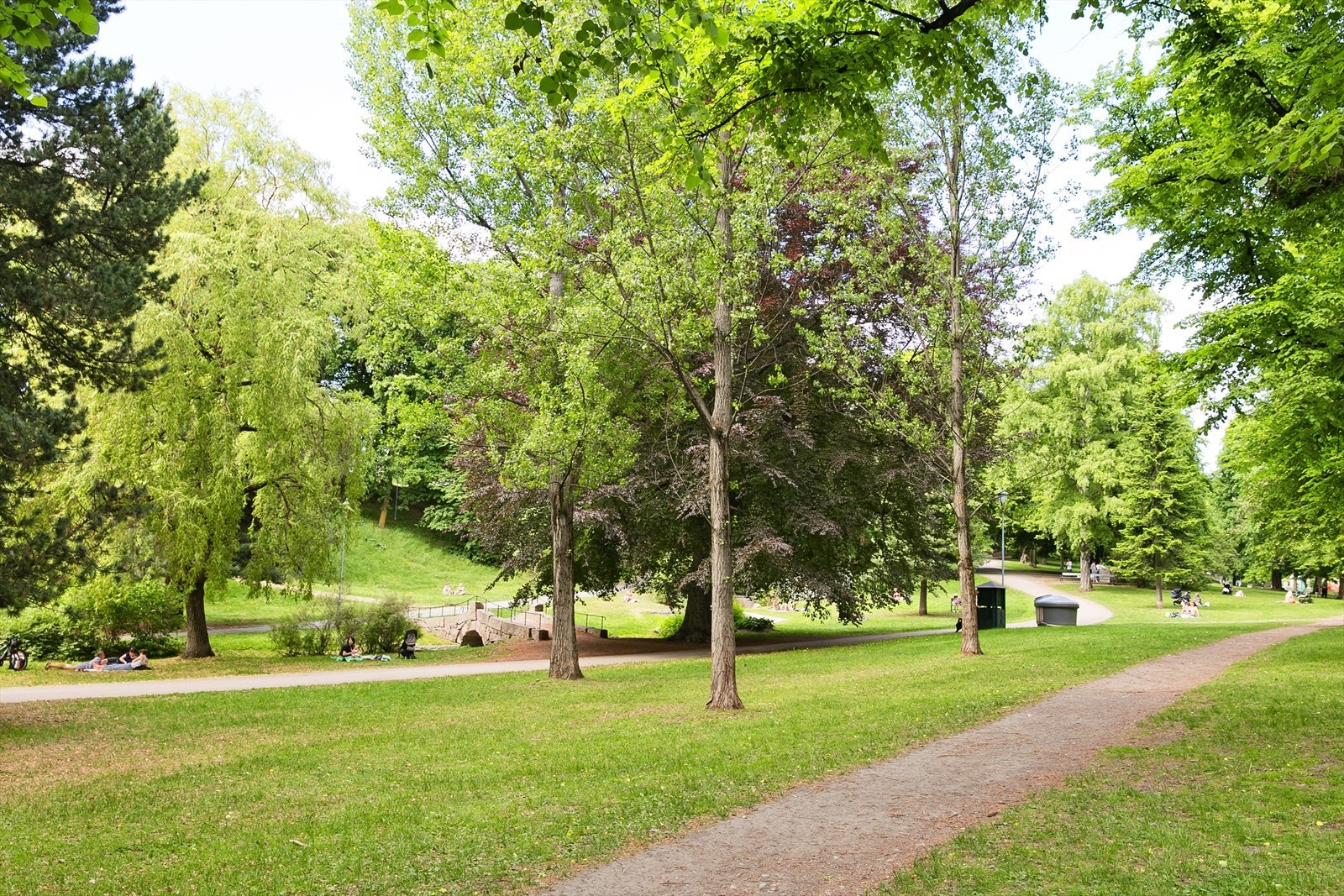 Områdebilde. Galleribilde