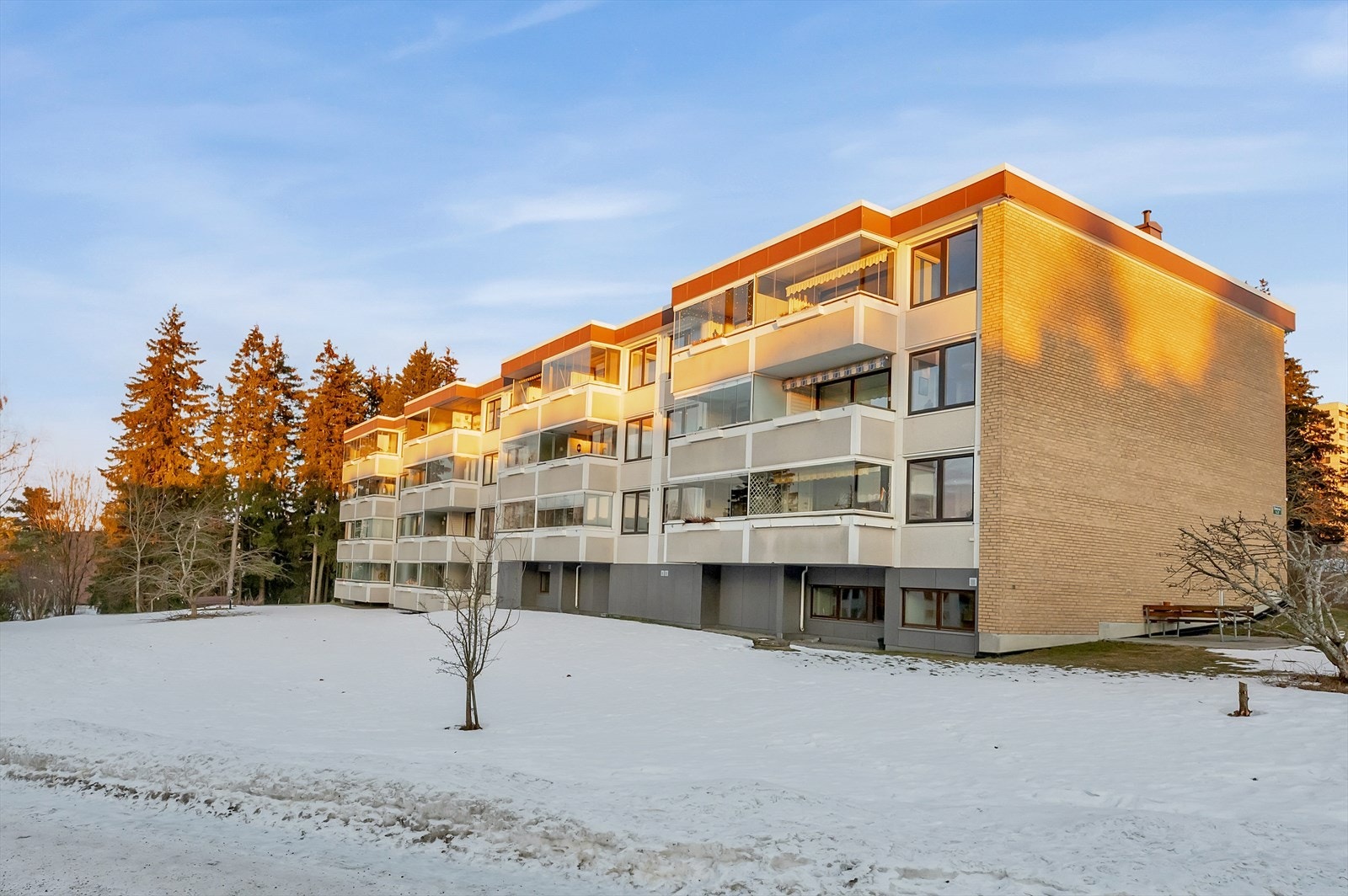 Fasade. Galleribilde