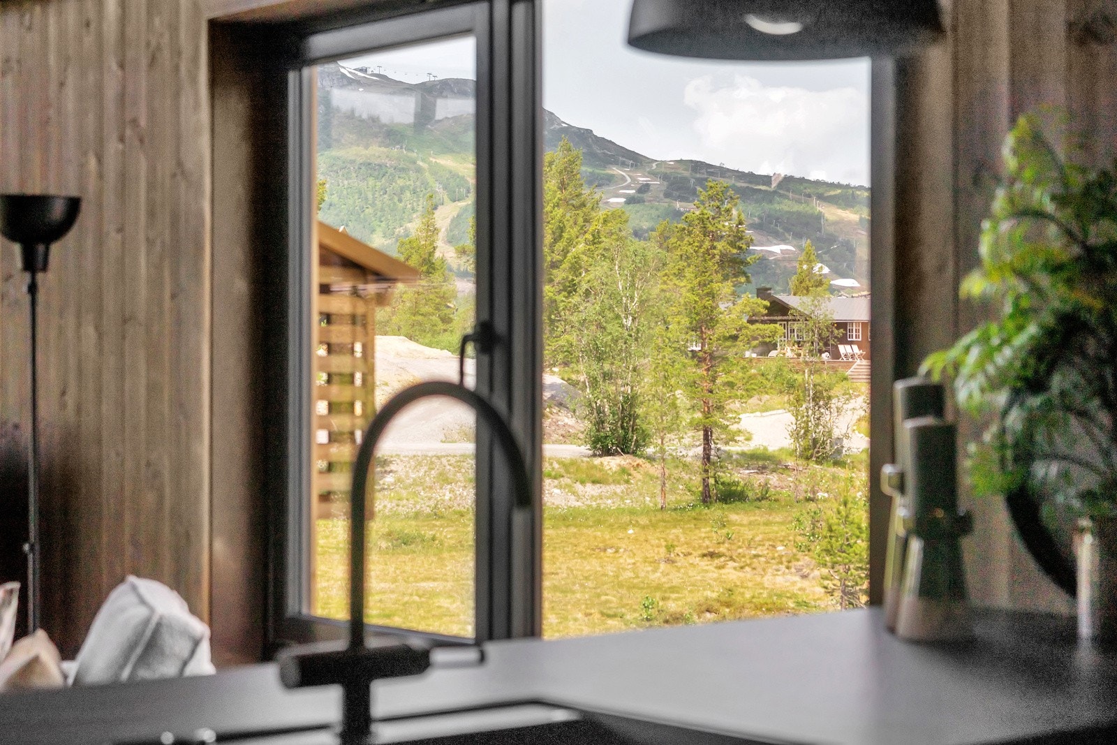 DSC01654 Galleribilde